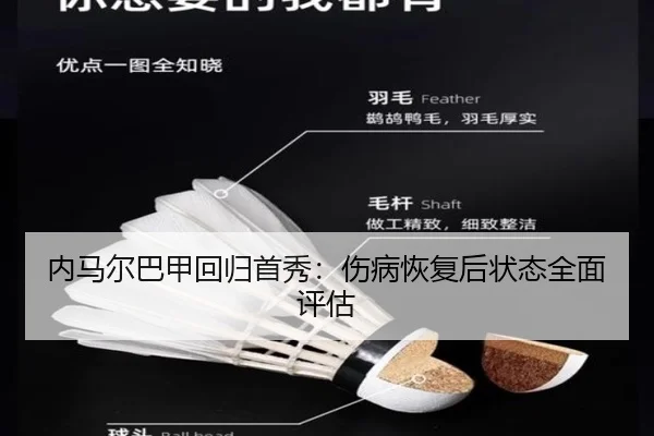 nei-ma-er-ba-jia-hui-gui-shou-xiu-shang-bing-hui-fu-hou-zhuang-tai-quan-mian-ping-gu-2-870.jpg