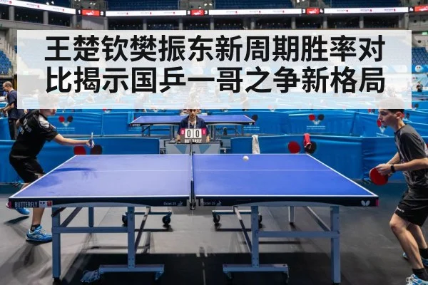 王楚钦樊振东新周期胜率对比揭示国乒一哥之争新格局
